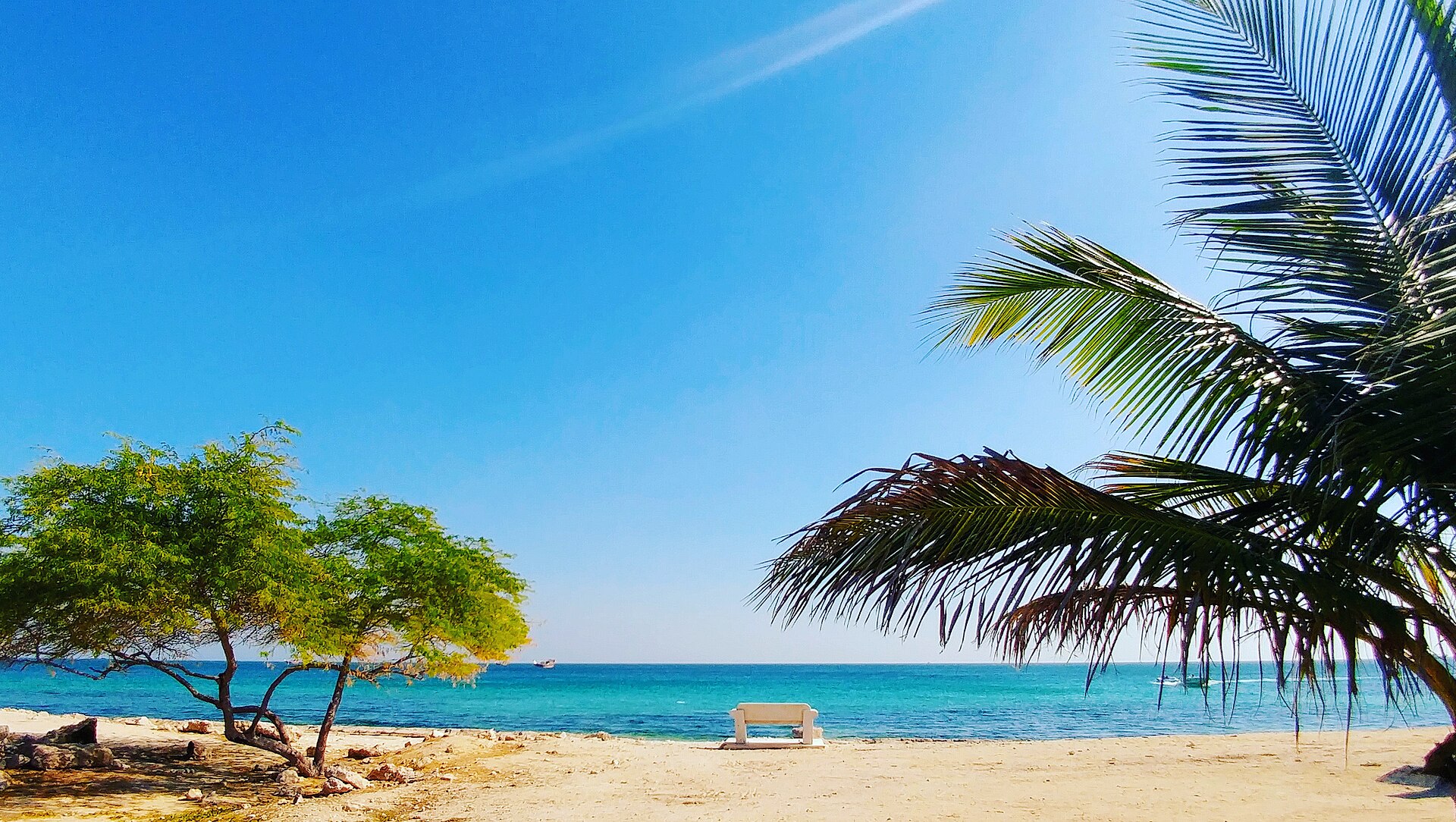 استخر و مجموعه آبی، تصویر 3